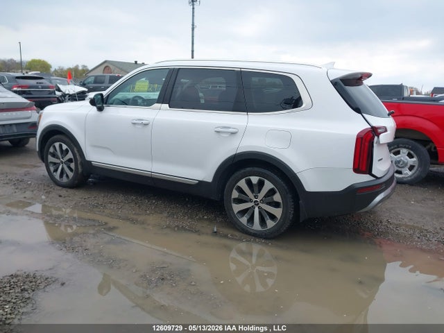 Продаж на аукціоні авто 2022 Kia Telluride Nightsky/sx/sx Limited, vin: 5XYP5DHC8NG196650, номер лоту: 12609729