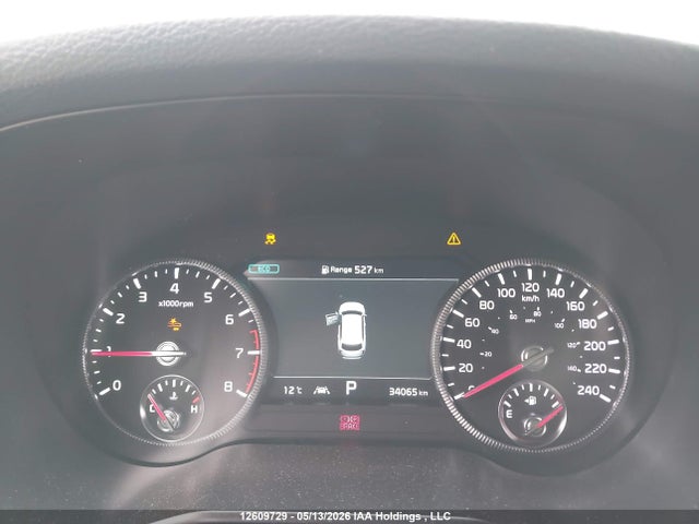 Продаж на аукціоні авто 2022 Kia Telluride Nightsky/sx/sx Limited, vin: 5XYP5DHC8NG196650, номер лоту: 12609729