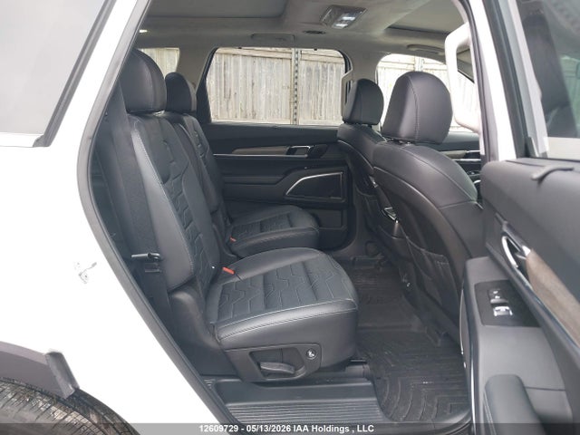 Продаж на аукціоні авто 2022 Kia Telluride Nightsky/sx/sx Limited, vin: 5XYP5DHC8NG196650, номер лоту: 12609729