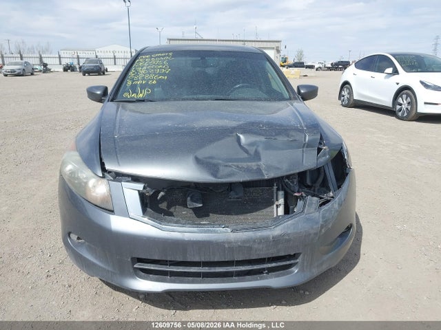 2008 Honda Accord Exl მანქანა იყიდება აუქციონზე, vin: 1HGCP36808A802997, აუქციონის ნომერი: 12609756