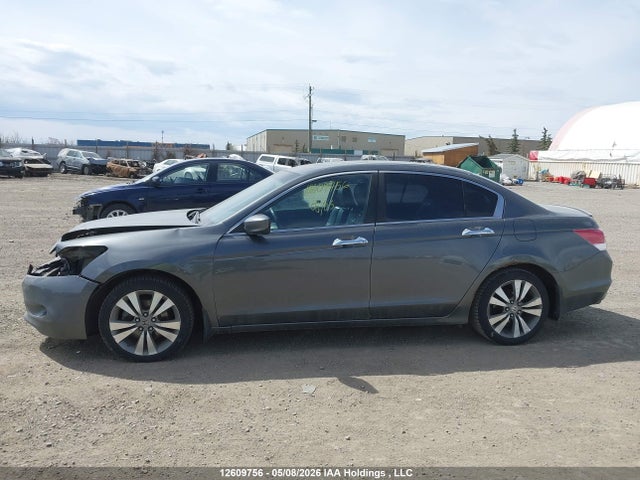 2008 Honda Accord Exl მანქანა იყიდება აუქციონზე, vin: 1HGCP36808A802997, აუქციონის ნომერი: 12609756