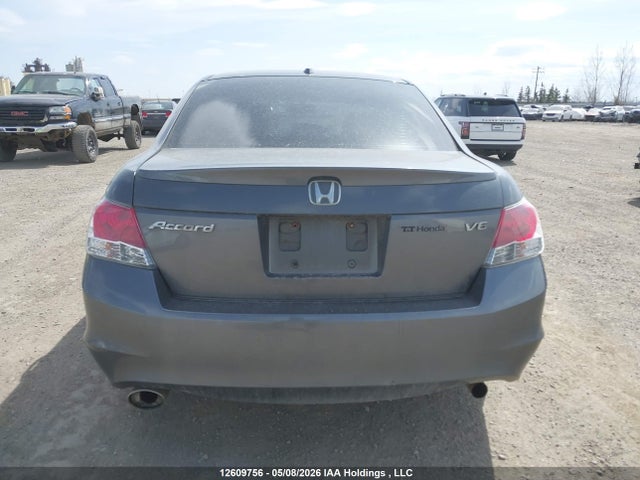 2008 Honda Accord Exl მანქანა იყიდება აუქციონზე, vin: 1HGCP36808A802997, აუქციონის ნომერი: 12609756