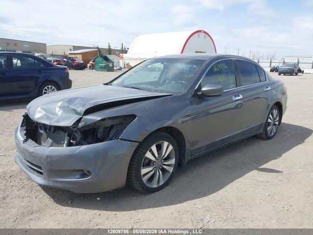 2008 Honda Accord Exl მანქანა იყიდება აუქციონზე, vin: 1HGCP36808A802997, აუქციონის ნომერი: 12609756
