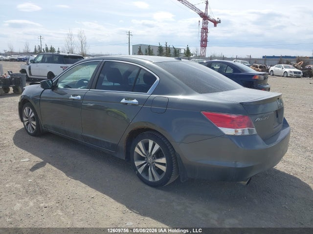 2008 Honda Accord Exl მანქანა იყიდება აუქციონზე, vin: 1HGCP36808A802997, აუქციონის ნომერი: 12609756