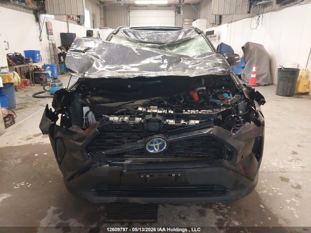 12609797 :رقم المزاد ، 2T3RWRFVXRW230019 vin ، 2024 Toyota Rav4 Xle/woodland Edition مزاد بيع