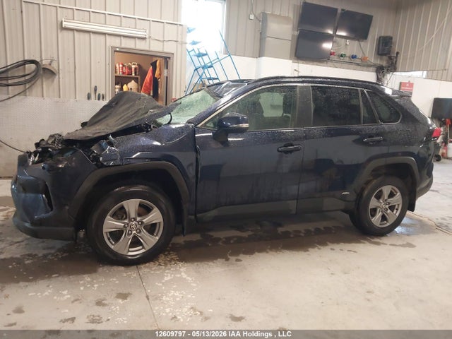 12609797 :رقم المزاد ، 2T3RWRFVXRW230019 vin ، 2024 Toyota Rav4 Xle/woodland Edition مزاد بيع