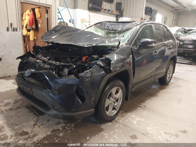 12609797 :رقم المزاد ، 2T3RWRFVXRW230019 vin ، 2024 Toyota Rav4 Xle/woodland Edition مزاد بيع