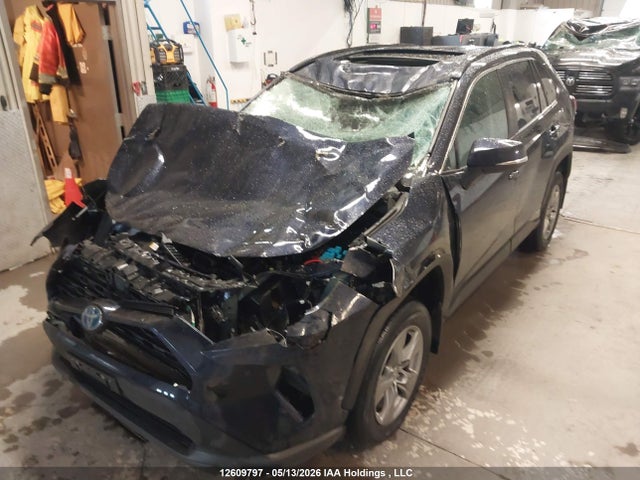 12609797 :رقم المزاد ، 2T3RWRFVXRW230019 vin ، 2024 Toyota Rav4 Xle/woodland Edition مزاد بيع