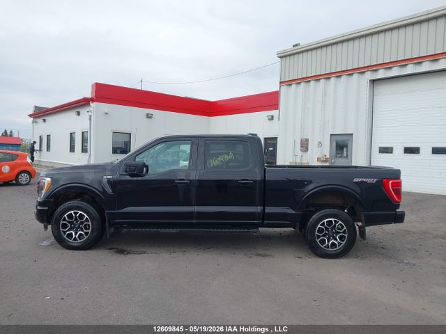 Продажа на аукционе авто 2023 Ford F150 Supercrew, vin: 1FTFW1E58PKF22344, номер лота: 12609845