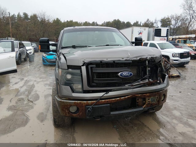 Продажа на аукционе авто 2013 Ford F-150 Fx4, vin: 1FTFW1ET5DKE20204, номер лота: 12586433