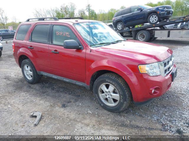 12609887 :رقم المزاد ، 1FMCU93G99KC49411 vin ، 2009 Ford Escape Xlt مزاد بيع