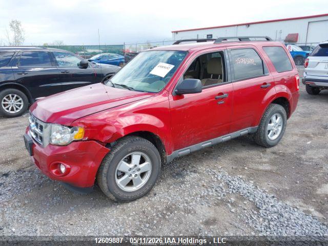 Продаж на аукціоні авто 2009 Ford Escape Xlt, vin: 1FMCU93G99KC49411, номер лоту: 12609887