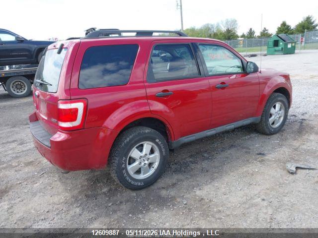 Продаж на аукціоні авто 2009 Ford Escape Xlt, vin: 1FMCU93G99KC49411, номер лоту: 12609887