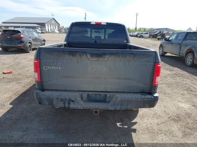 Продаж на аукціоні авто 2015 Ford F-150 Xlt, vin: 1FTFW1EG1FFB35367, номер лоту: 12610033