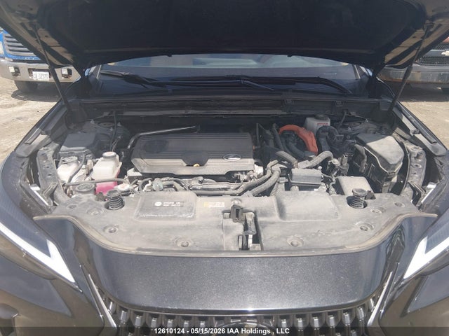 12610124 :رقم المزاد ، 2T2GKCEZ6RC027302 vin ، 2024 Lexus Nx 350h 350h مزاد بيع