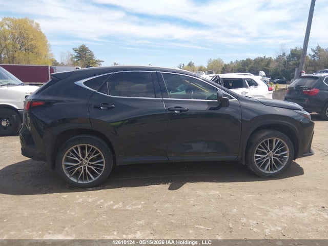 12610124 :رقم المزاد ، 2T2GKCEZ6RC027302 vin ، 2024 Lexus Nx 350h 350h مزاد بيع