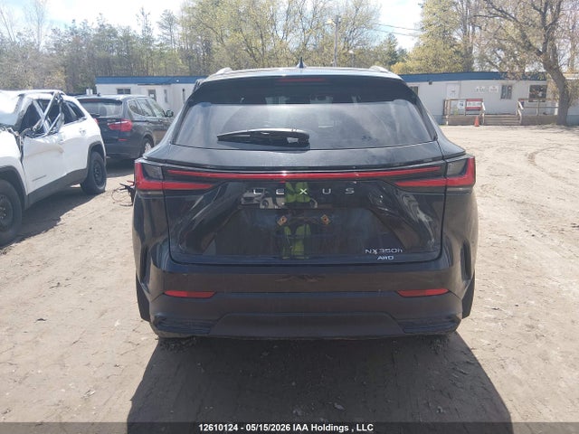 12610124 :رقم المزاد ، 2T2GKCEZ6RC027302 vin ، 2024 Lexus Nx 350h 350h مزاد بيع