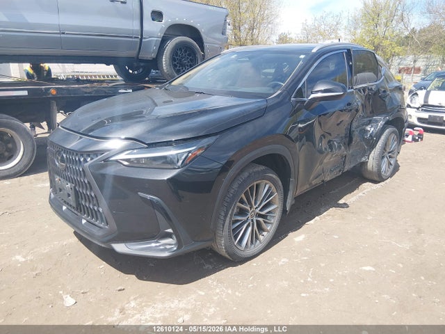 12610124 :رقم المزاد ، 2T2GKCEZ6RC027302 vin ، 2024 Lexus Nx 350h 350h مزاد بيع