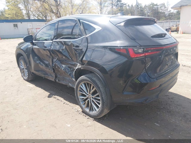12610124 :رقم المزاد ، 2T2GKCEZ6RC027302 vin ، 2024 Lexus Nx 350h 350h مزاد بيع
