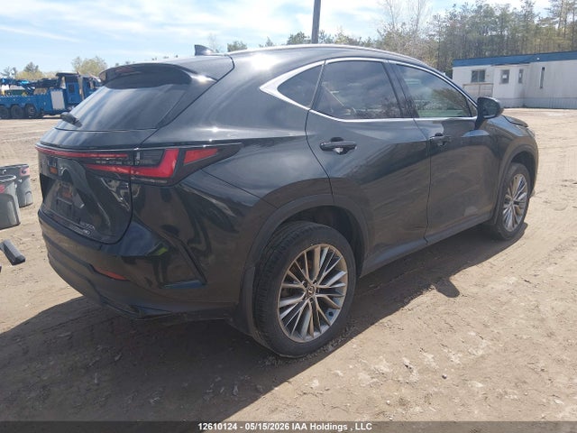 12610124 :رقم المزاد ، 2T2GKCEZ6RC027302 vin ، 2024 Lexus Nx 350h 350h مزاد بيع