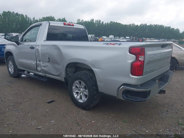 12610342 :رقم المزاد ، 3GCNYAEF4LG129831 vin ، 2020 Chevrolet Silverado 1500 مزاد بيع