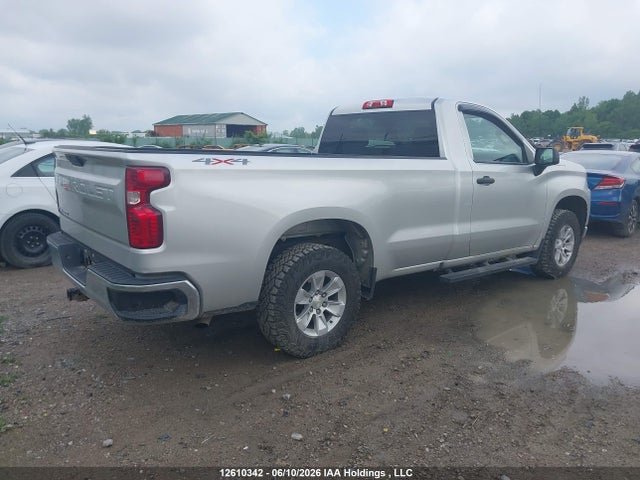 12610342 :رقم المزاد ، 3GCNYAEF4LG129831 vin ، 2020 Chevrolet Silverado 1500 مزاد بيع
