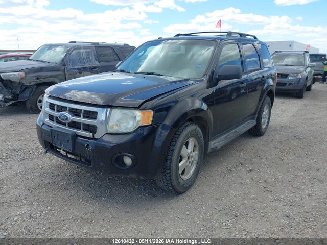 Продаж на аукціоні авто 2009 Ford Escape Xlt, vin: 1FMCU93G79KA35386, номер лоту: 12610432