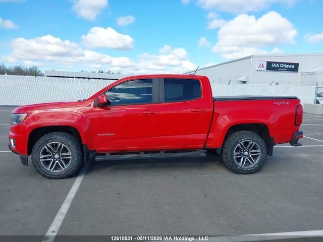 Продажа на аукционе авто 2019 Chevrolet Colorado, vin: 1GCGTBEN3K1182506, номер лота: 12610531