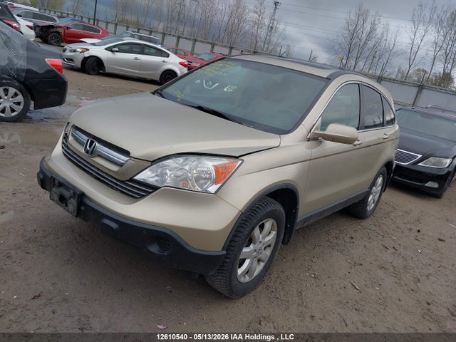 12610540 :رقم المزاد ، 5J6RE48749L806687 vin ، 2009 Honda Cr-v Exl مزاد بيع