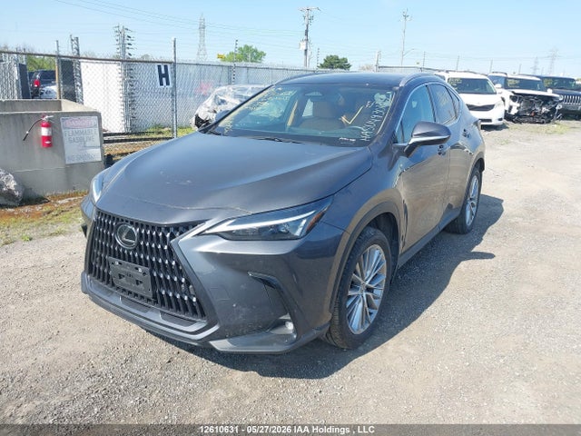 Aukcja sprzedaży 2025 Lexus Nx 350h 350h, vin: 2T2GKCEZXSC034484, numer aukcji: 12610631