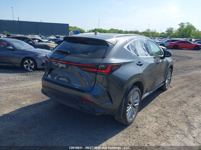 Aukcja sprzedaży 2025 Lexus Nx 350h 350h, vin: 2T2GKCEZXSC034484, numer aukcji: 12610631