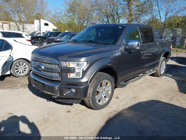 Продажа на аукционе авто 2016 Ford F-150 Platinum, vin: 1FTEW1EF7GFB31358, номер лота: 12610646