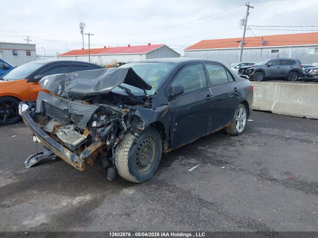 2010 Toyota Corolla S მანქანა იყიდება აუქციონზე, vin: 2T1BU4EEXAC493296, აუქციონის ნომერი: 12602876