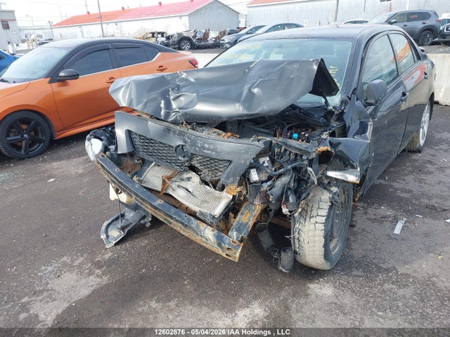 2010 Toyota Corolla S მანქანა იყიდება აუქციონზე, vin: 2T1BU4EEXAC493296, აუქციონის ნომერი: 12602876