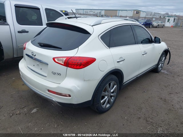 JN1BJ0RR5GM261380 Infiniti QX50