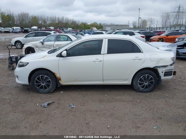 12610842 :رقم المزاد ، 2T1BU4EE4AC333768 vin ، 2010 Toyota Corolla Ce مزاد بيع