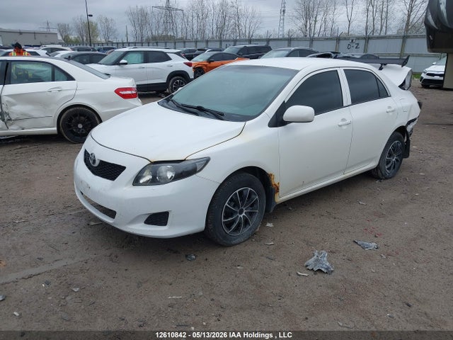 12610842 :رقم المزاد ، 2T1BU4EE4AC333768 vin ، 2010 Toyota Corolla Ce مزاد بيع