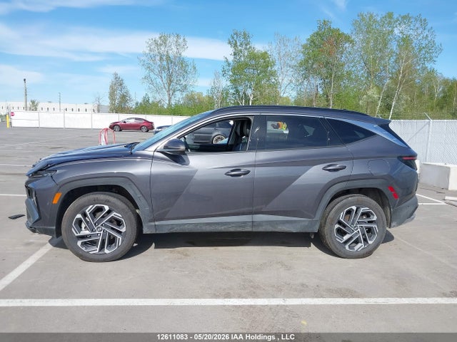 Aukcja sprzedaży 2025 Hyundai Tucson Sel Convenience, vin: KM8JCDD18SU359805, numer aukcji: 12611083