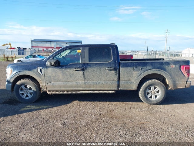 1FTFW1E56MKD28813 Ford F-150 Xlt