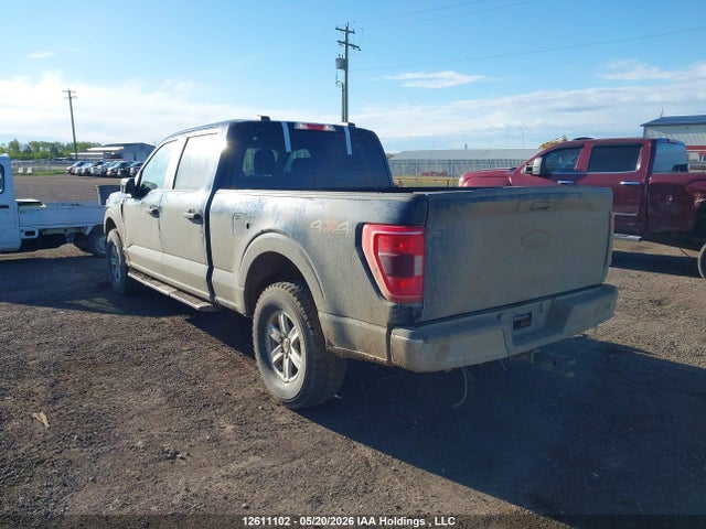 1FTFW1E56MKD28813 Ford F-150 Xlt