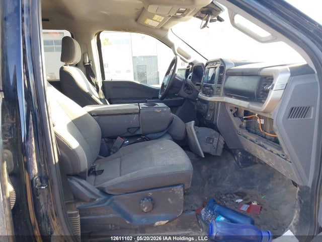 1FTFW1E56MKD28813 Ford F-150 Xlt