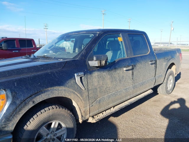 1FTFW1E56MKD28813 Ford F-150 Xlt