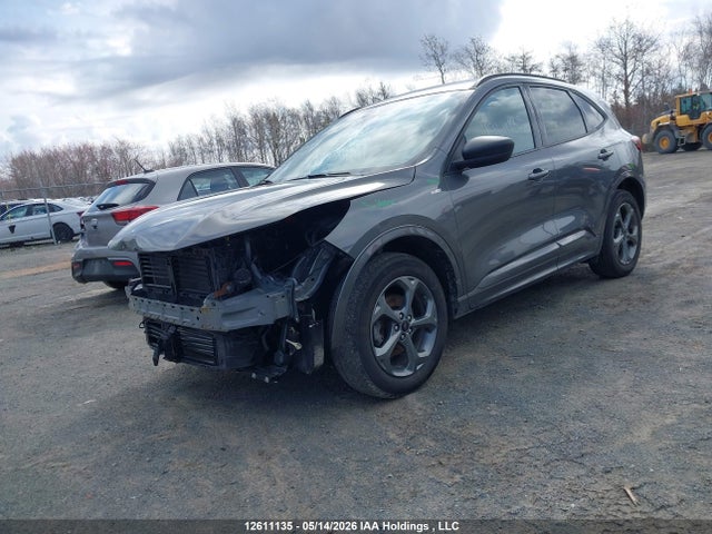 Продаж на аукціоні авто 2024 Ford Escape St Line, vin: 1FMCU9MN6RUB34542, номер лоту: 12611135