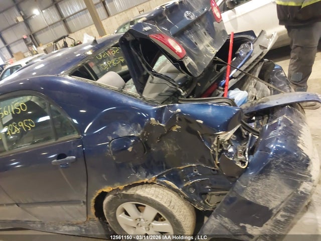 12561150 :رقم المزاد ، 2T1BR32E33C728950 vin ، 2003 Toyota Corolla Ce/le/sport مزاد بيع