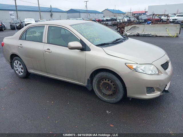 12589073 :رقم المزاد ، 2T1BU4EE4AC307509 vin ، 2010 Toyota Corolla Ce مزاد بيع
