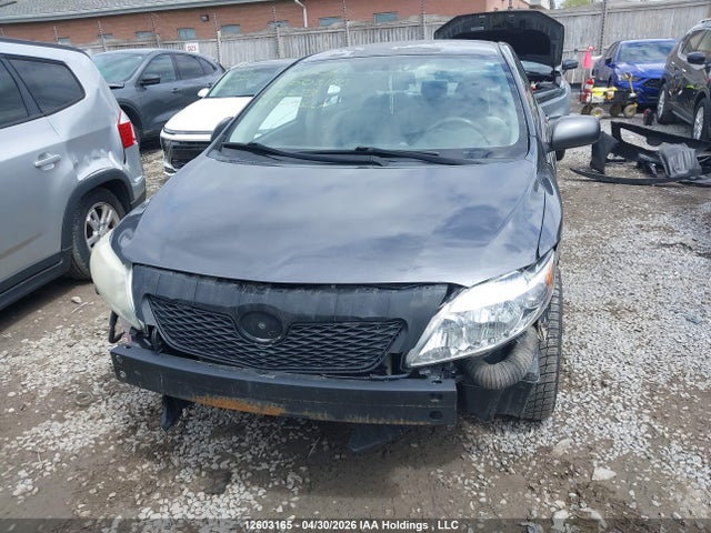 2010 Toyota Corolla S/le/xle მანქანა იყიდება აუქციონზე, vin: 1NXBU4EE3AZ292273, აუქციონის ნომერი: 12603165