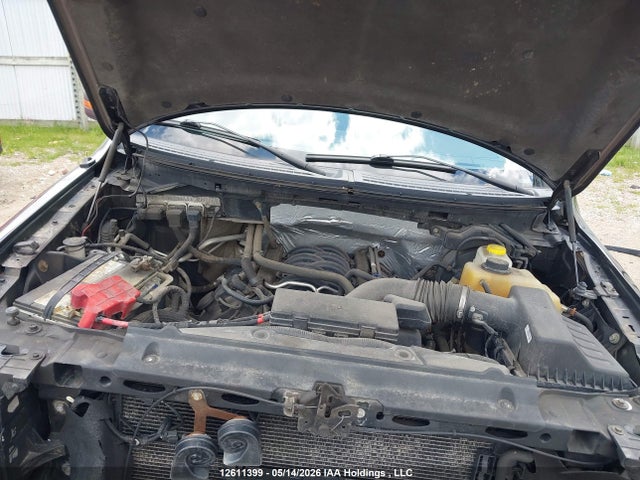 1FTFW1EFXEFC79263 Ford F-150
