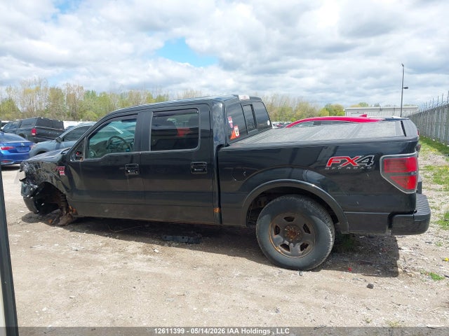1FTFW1EFXEFC79263 Ford F-150