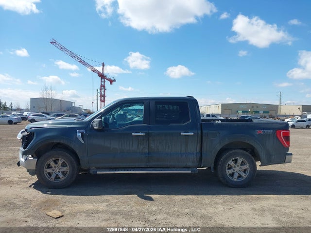 Продаж на аукціоні авто 2021 Ford F-150 Xlt, vin: 1FTEW1EB7MKD88360, номер лоту: 12597848