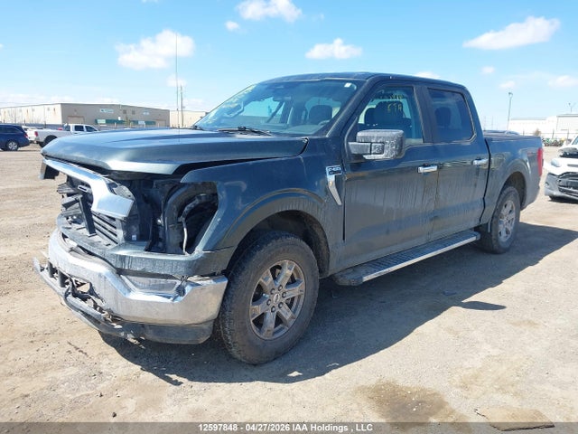Продаж на аукціоні авто 2021 Ford F-150 Xlt, vin: 1FTEW1EB7MKD88360, номер лоту: 12597848